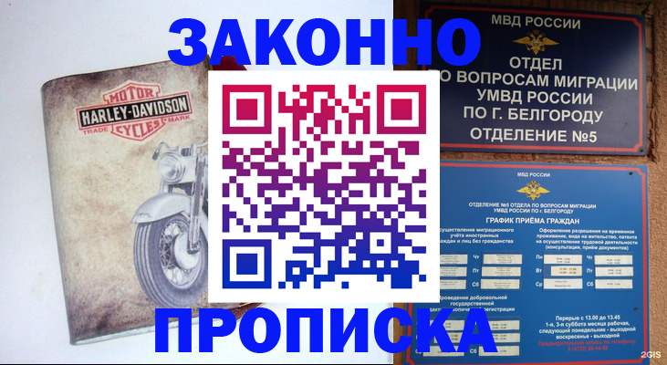 прописка для школы в Бабаево